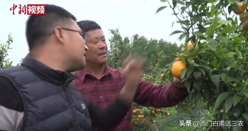 硕士回乡当农民经营两个家庭农场，年收入200万，传递什么信息？