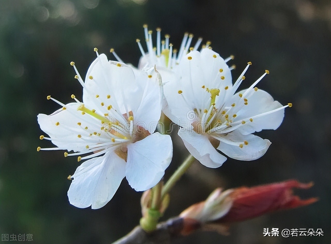 学会分享，收获成长