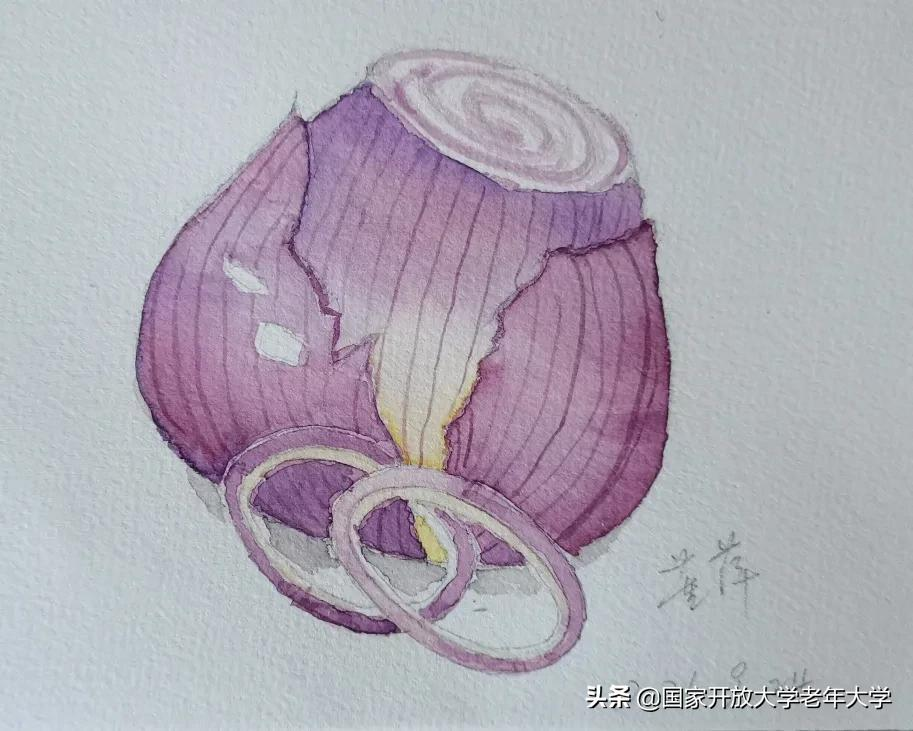 在校园·良作 | 水彩让我们的青春重新绽放——水彩画初级班学员作品