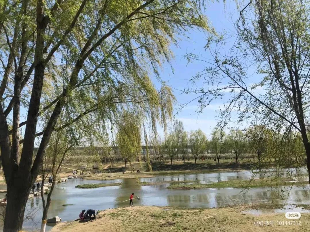 又是一年野餐季！北京这10家适合露营野餐的公园，有时间一定要打卡