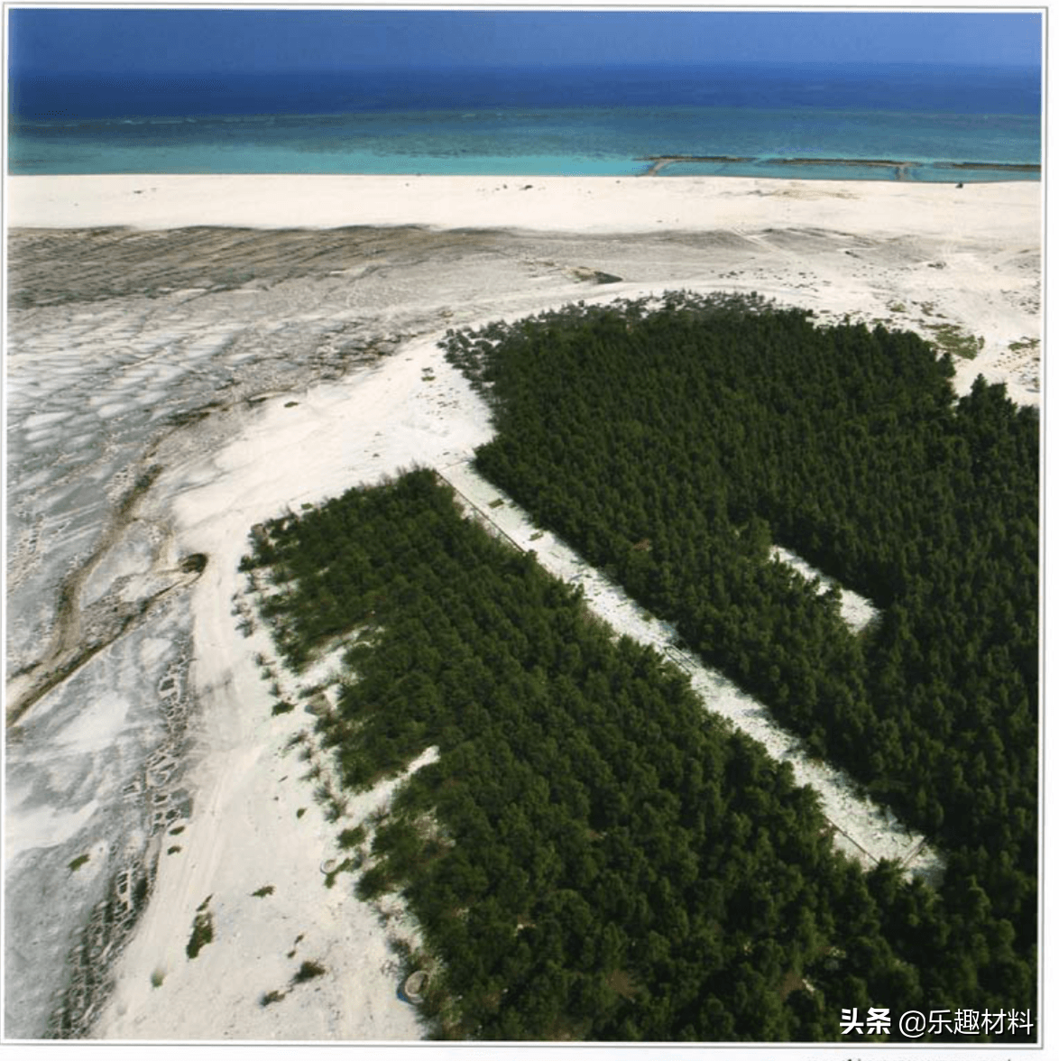 ����벻������ɳ�н����仯���֮�����ջ�̲�����ִ���ɫ�³�