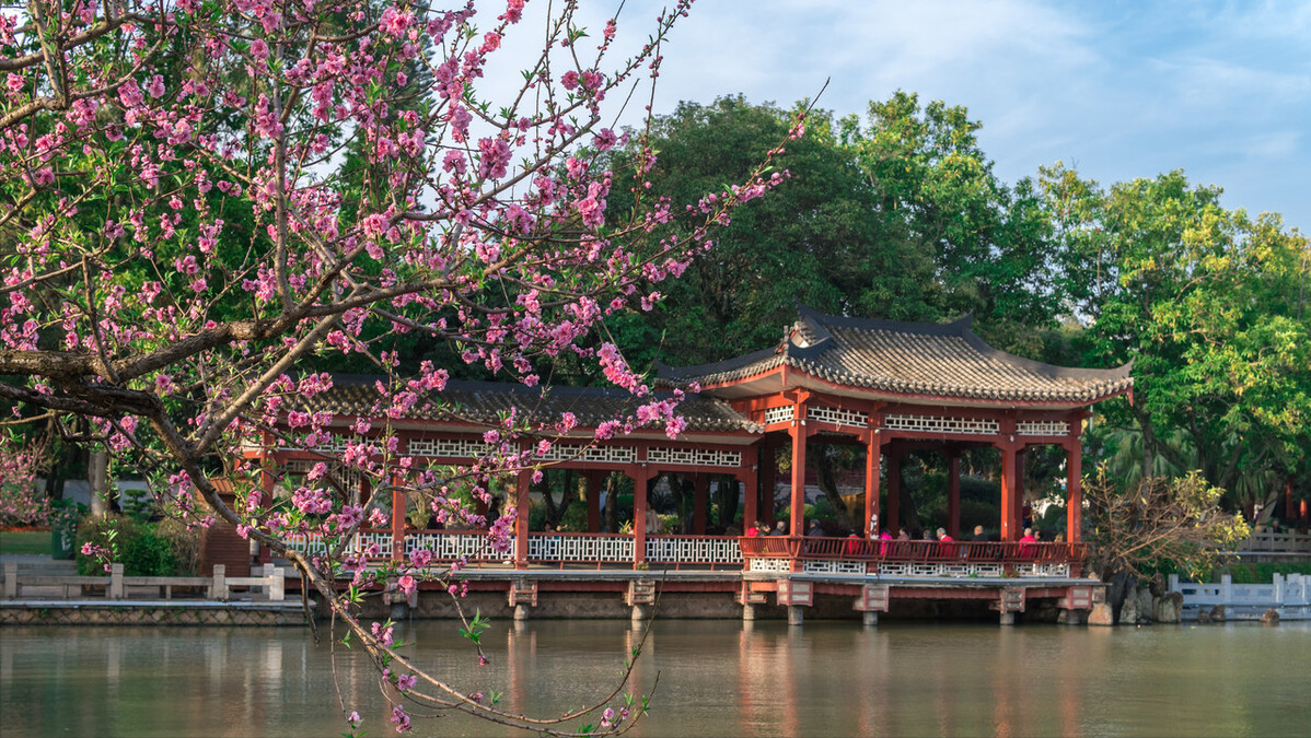 福州“云赏花”，带你打卡名胜古迹七大花，体验醉美三月的花海