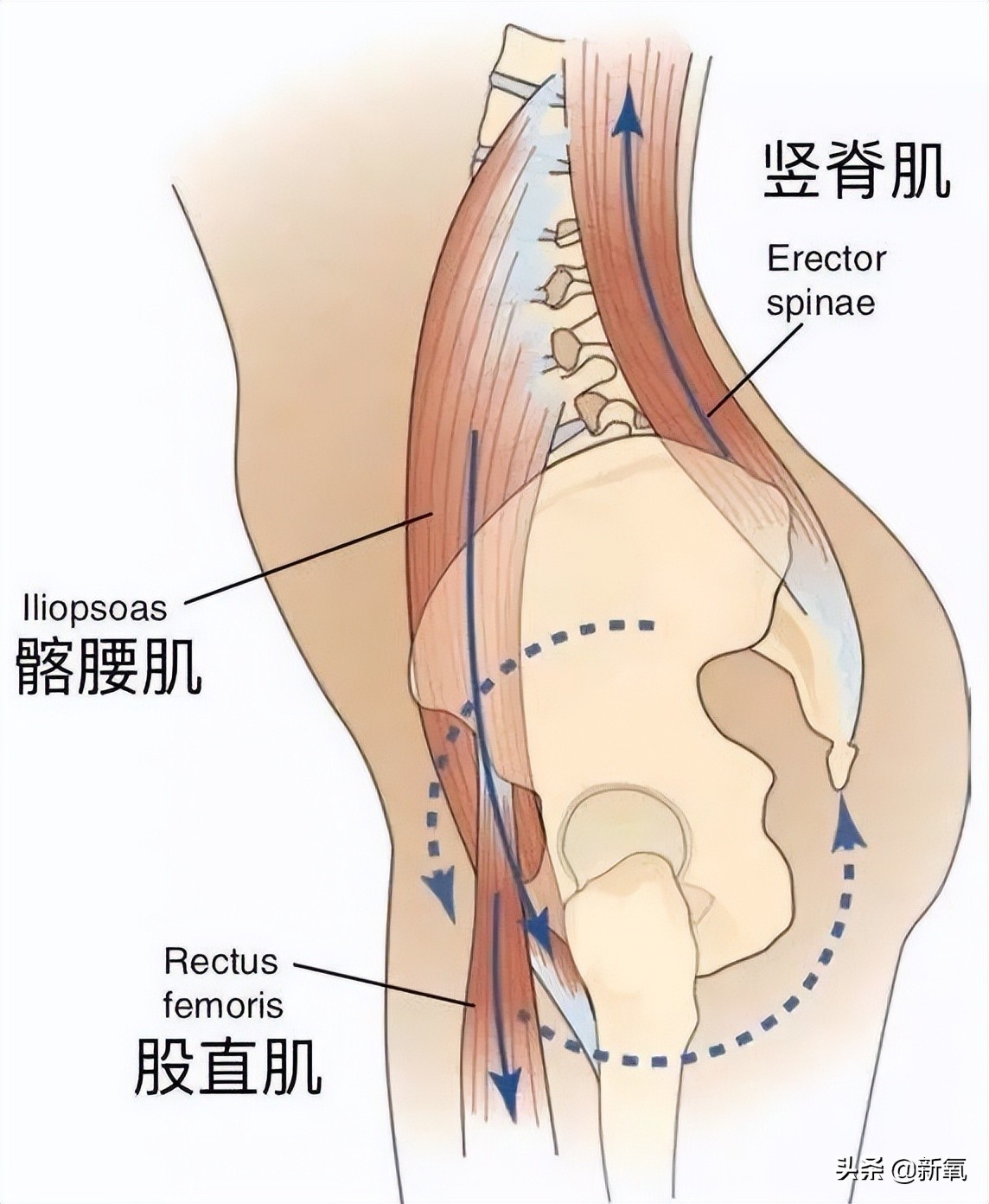 他俩都甜到被怀疑是绯闻变前任了，怎么还有人注意到她肚子没收住