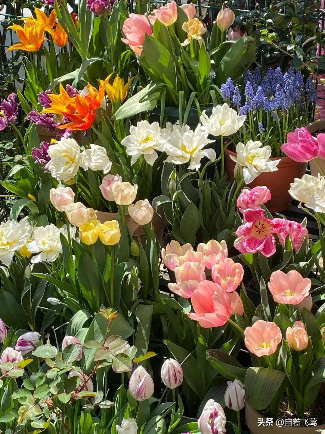 《朗读者》中董卿经典语录，每句都富含哲理