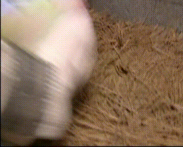 再看《乌龙闯情关》，童年里的欢乐和遗憾都在这里