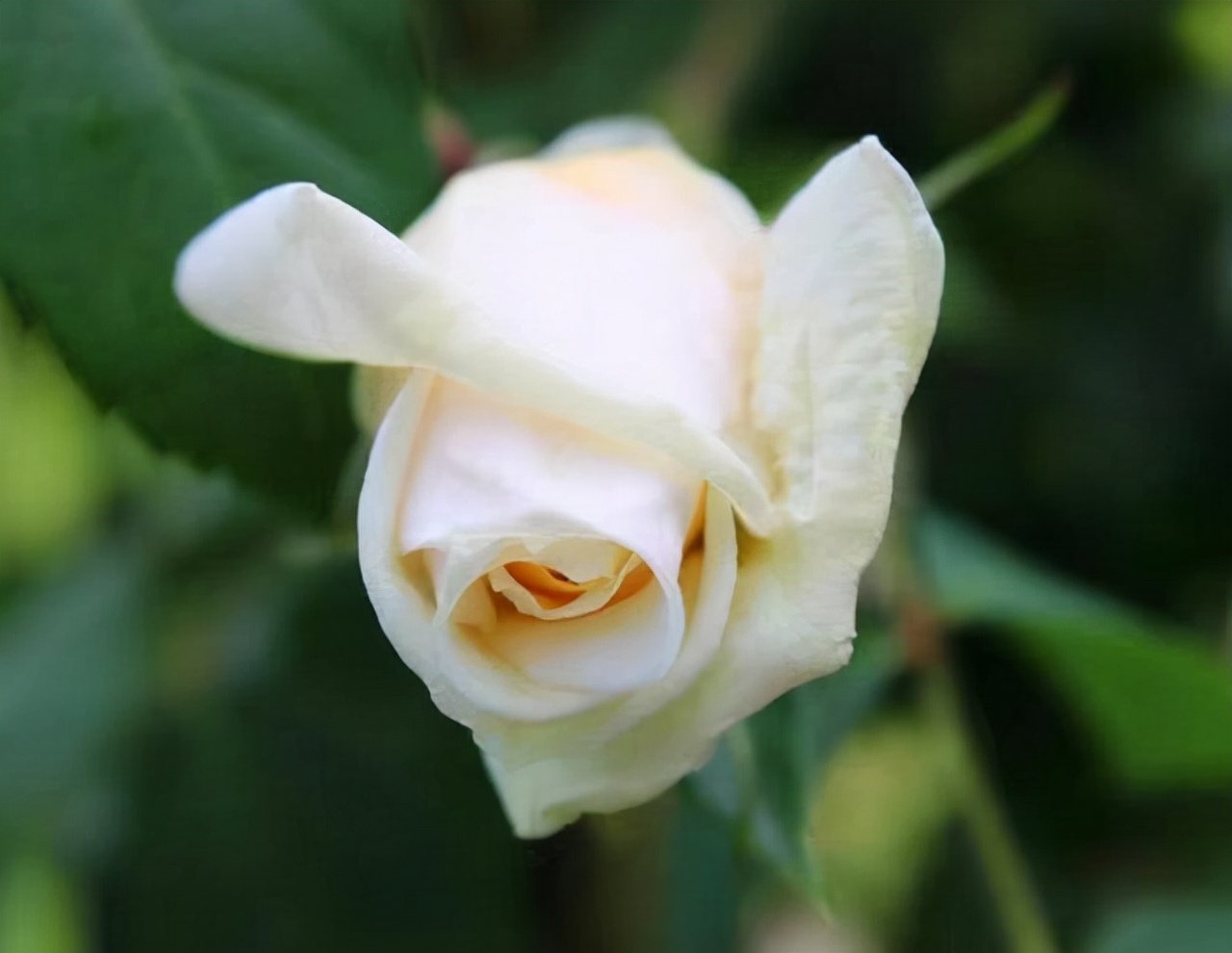 亲情的“等价交换”，最真实！别不信