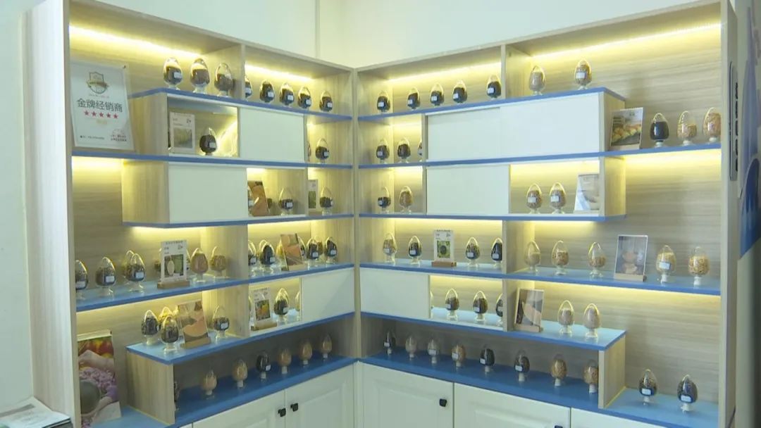 好品山东｜西瓜随便吃，种子得留下！这是啥操作？