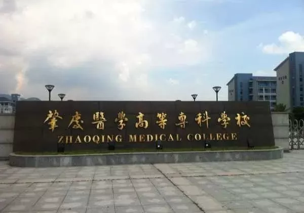 “医学热”又来了？学考想考医学专业，重点关注广东这12所院校