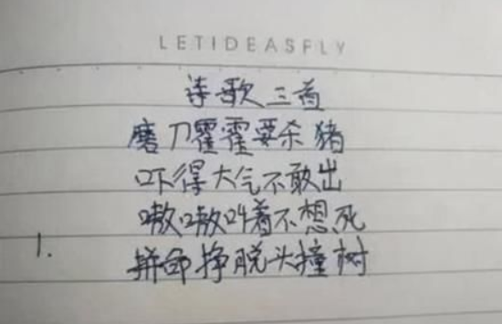 小学生改写《咏鹅》变成《咏妈》，老师批语哭笑不得，评论区亮了