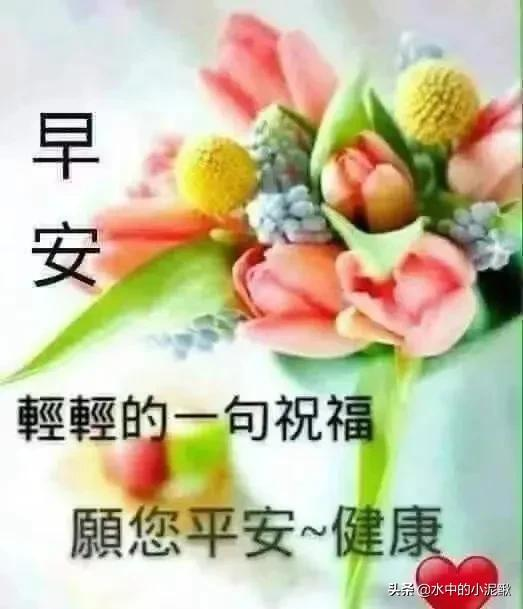 朋友圈励志早安心语句子，满满正能量的励志早安语录