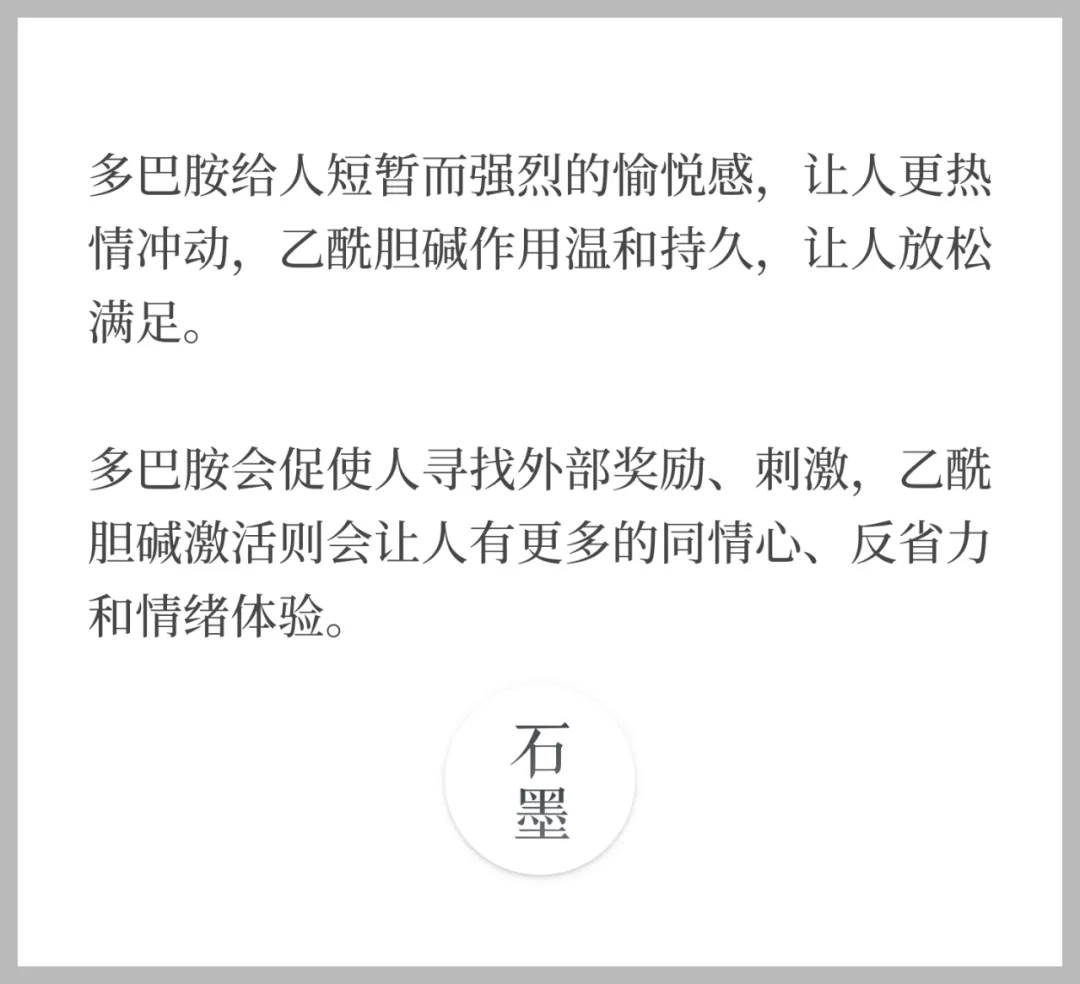 职场大猫初长成，你是狮型还是虎型人格？