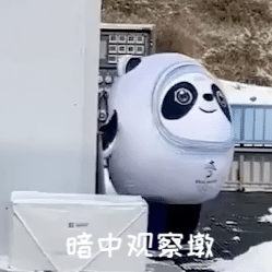 冰墩墩名场面可爱集