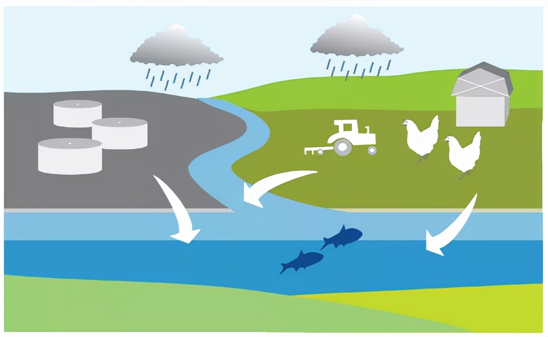 一文读懂农业面源污染对水体富营养化的“贡献”