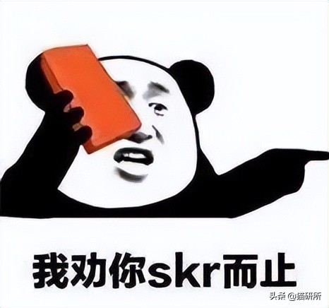 爆肝统计5000个猫名，让所有人都笑死在这些沙雕名字里