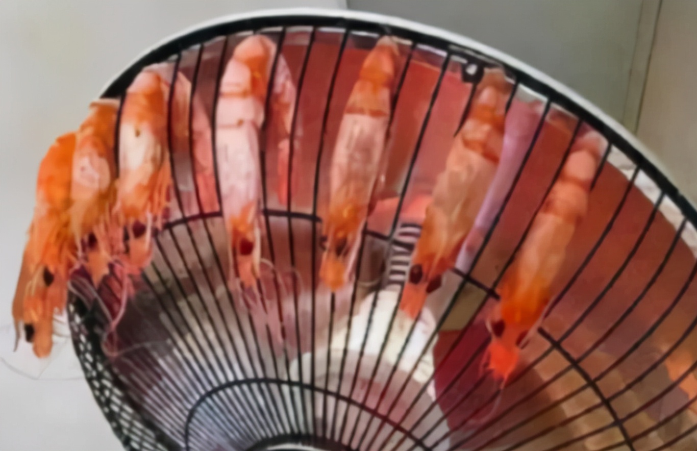 “五花八门，层出不穷”，大学生寝室“违禁品”，一个比一个有才