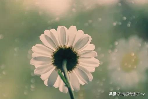 每一场校园欺凌的背后：人人都是施暴者