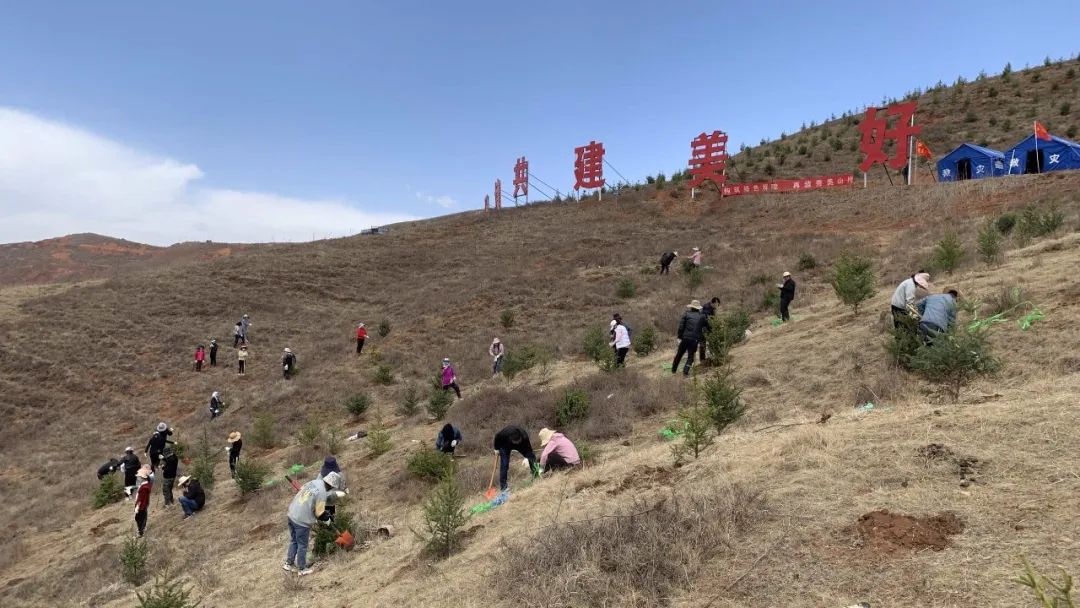 这个春天“植”得期待