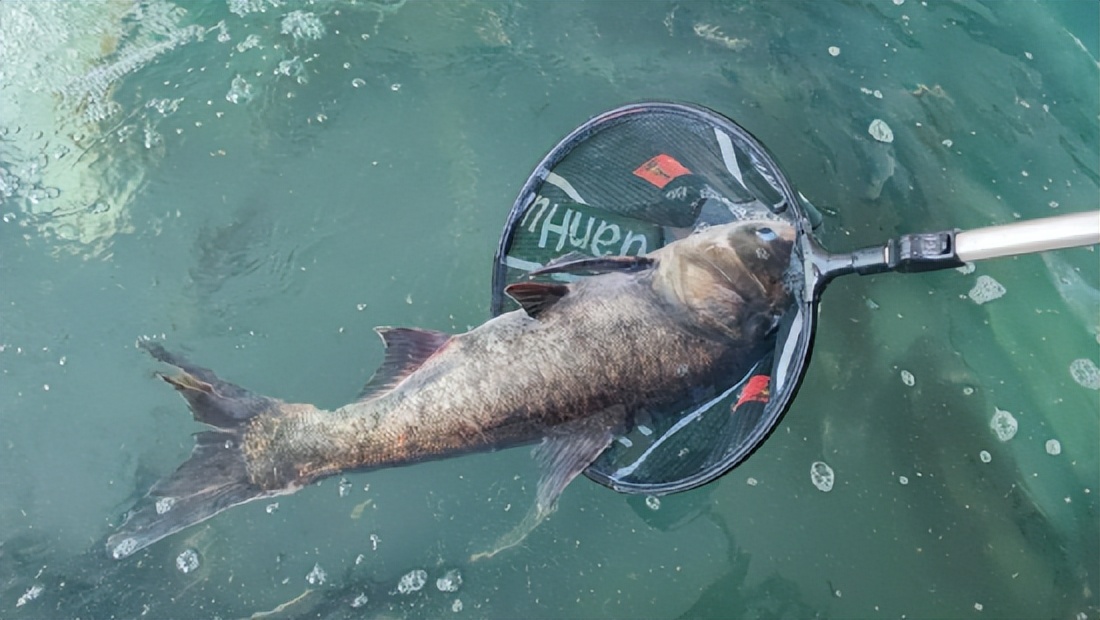 颜值与内涵兼具 汾河二库清凉“水世界”对抗“大夏天”