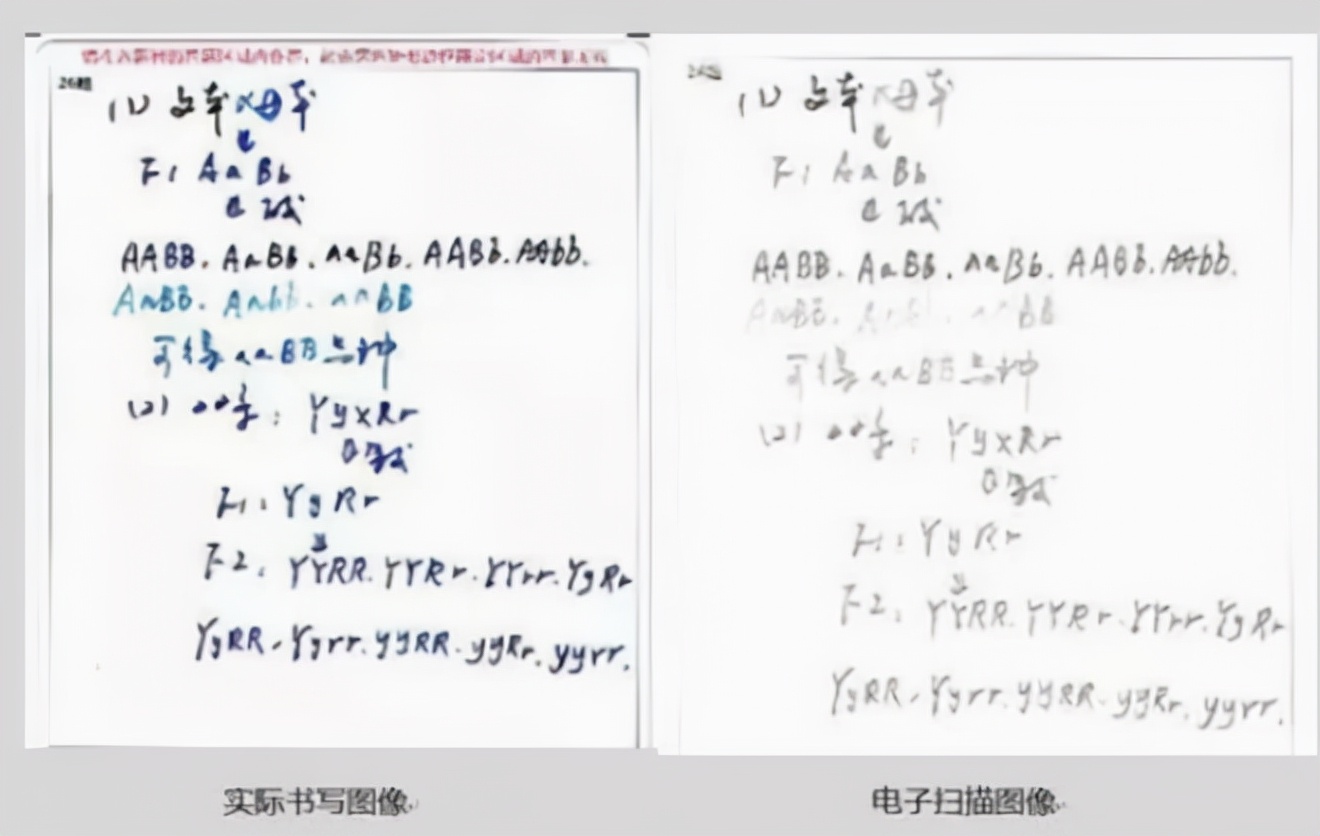 高考为什么使用2B铅笔？用其他铅笔代替行不行？批卷老师给出答案
