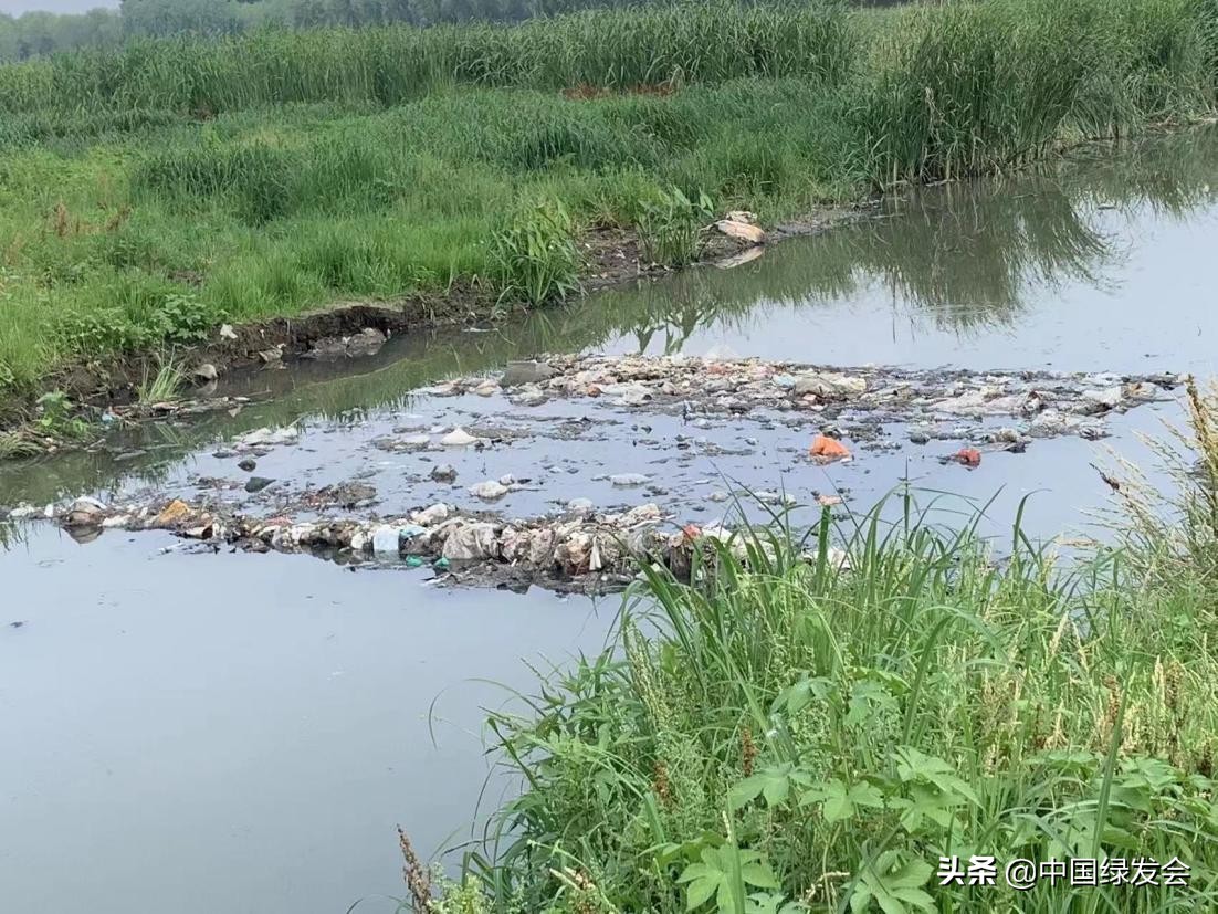 污水偷排水库？呼吁有关部门重视水质监测｜北京沙河湿地公园建设