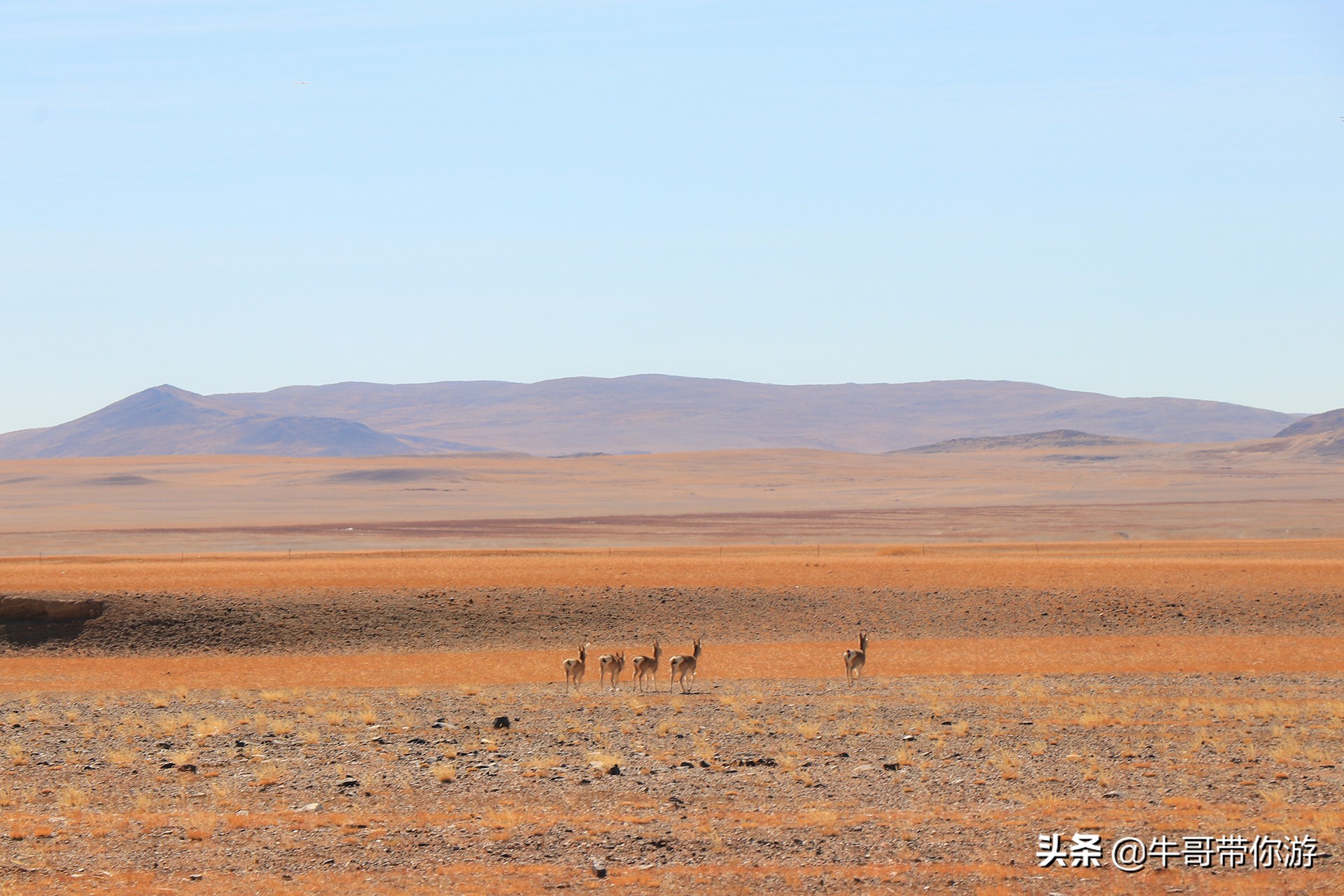 旅游博主5年10次自驾进藏，总结的西藏自驾游攻略，建议收藏