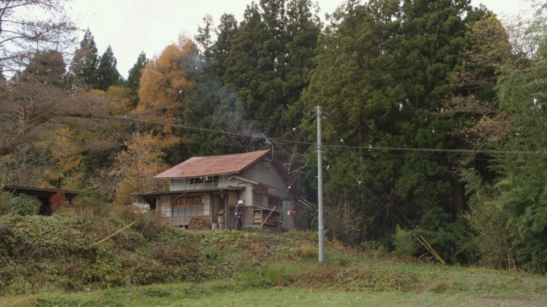 「电影推荐第17期」美食,美景,美女,轻松治愈的影片《小森林》