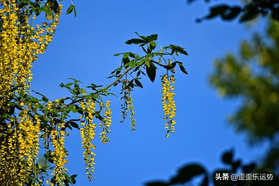 白羊座3.21-27周运势，眼高手低未必是坏事，只要能带来收益