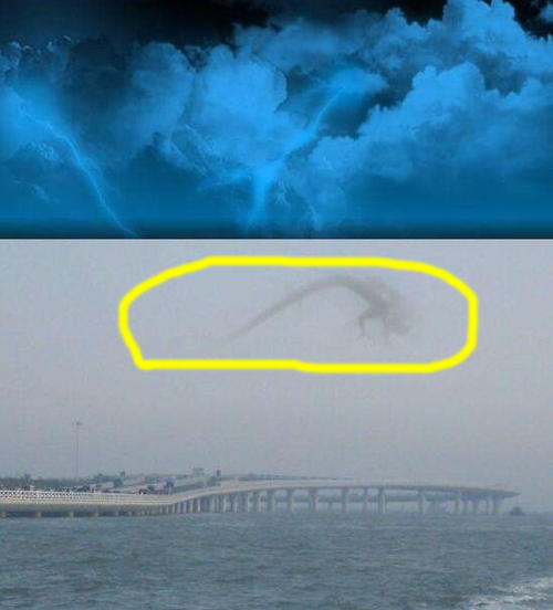 安徽巨蟒渡劫事件：具体真实性还存在巨大的争议