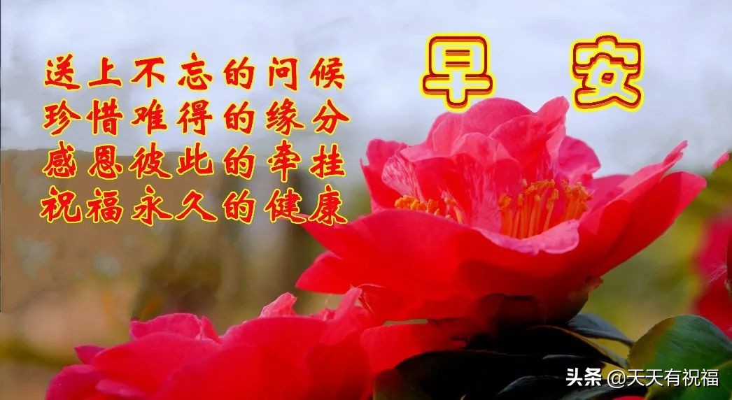 2022清晨送给远方朋友的祝福语，家人们早上好最新版图片带字语句