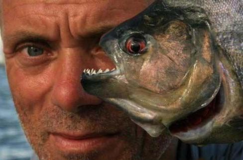 亚马逊河中隐藏的十大恐怖生物，谁是真正的霸主？食人鱼是开胃菜