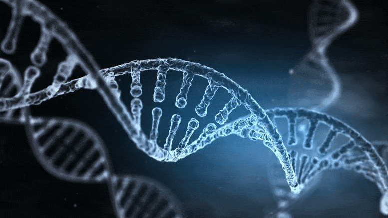斯坦福AI 5小时DNA测序破世界纪录！创人类新里程碑，成本仅3万