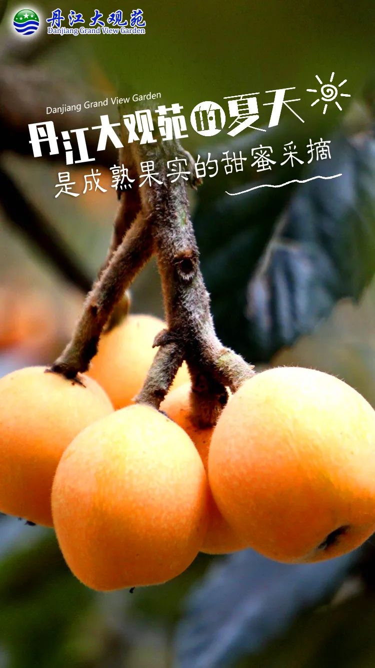 来了，丹江大观苑的夏天