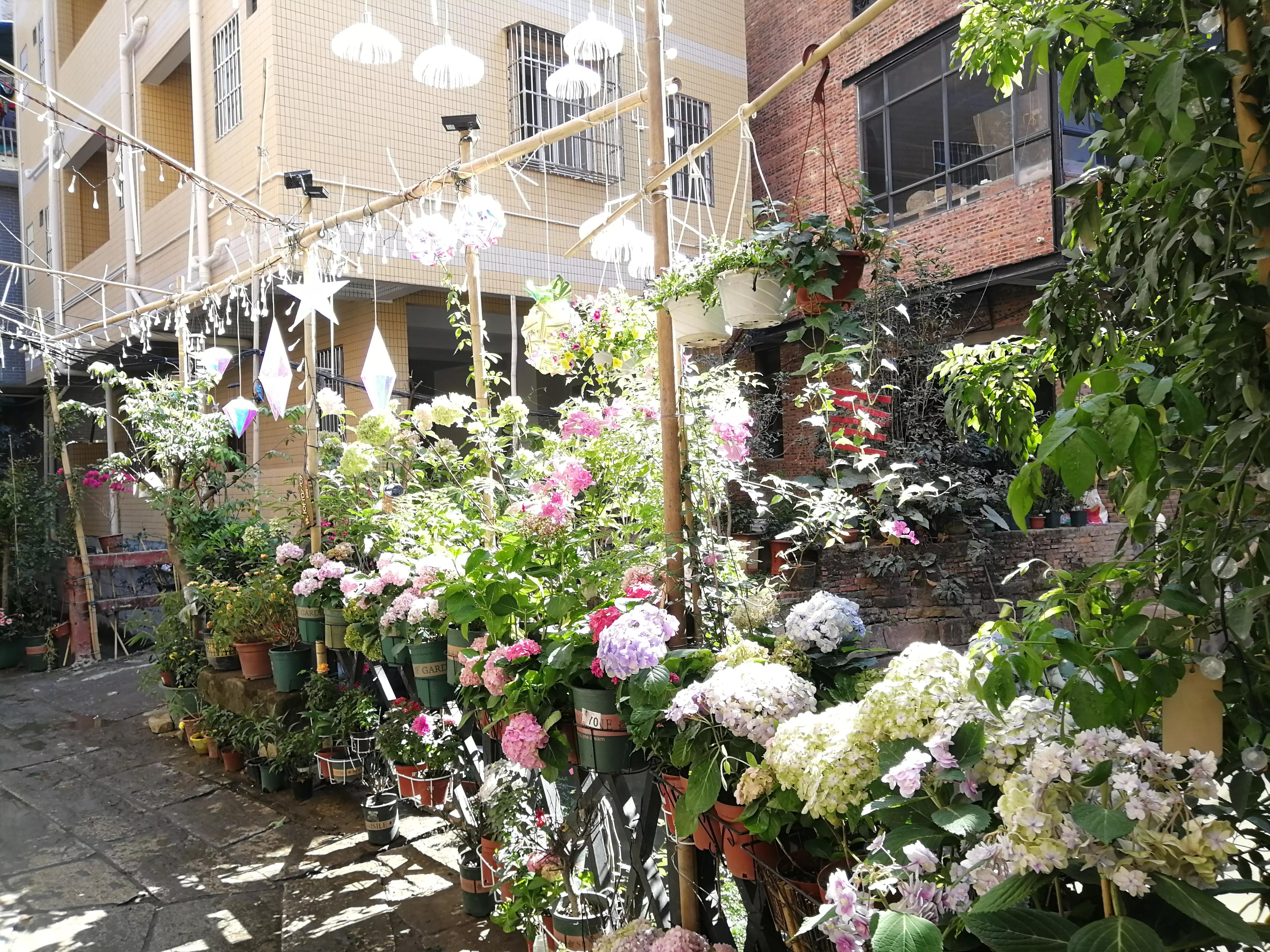 地铁4号线大学城游玩攻略，领略那不一样的广州大学城风光（C篇）