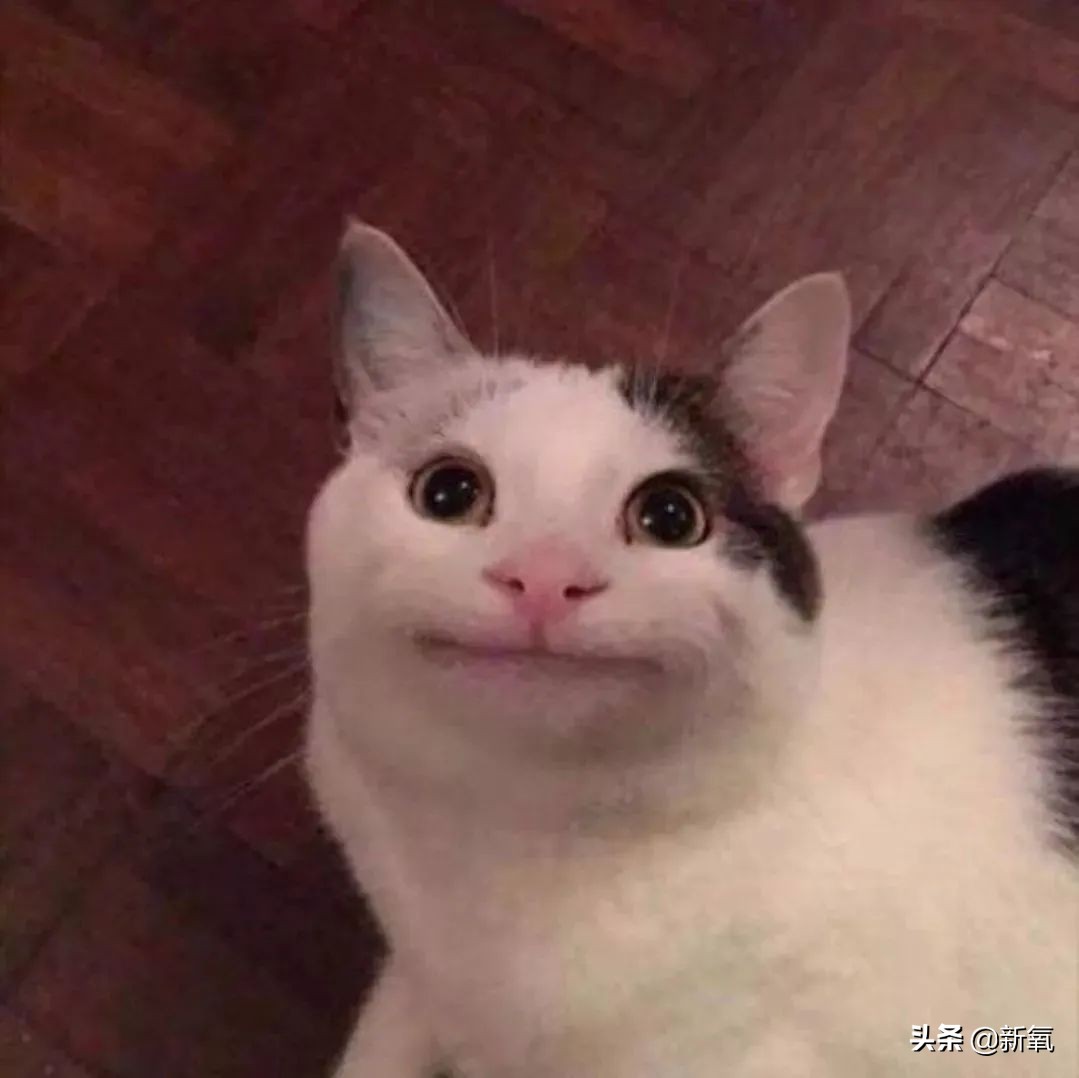 暴瘦30斤还瞬间丑10倍？她也太预言家了…