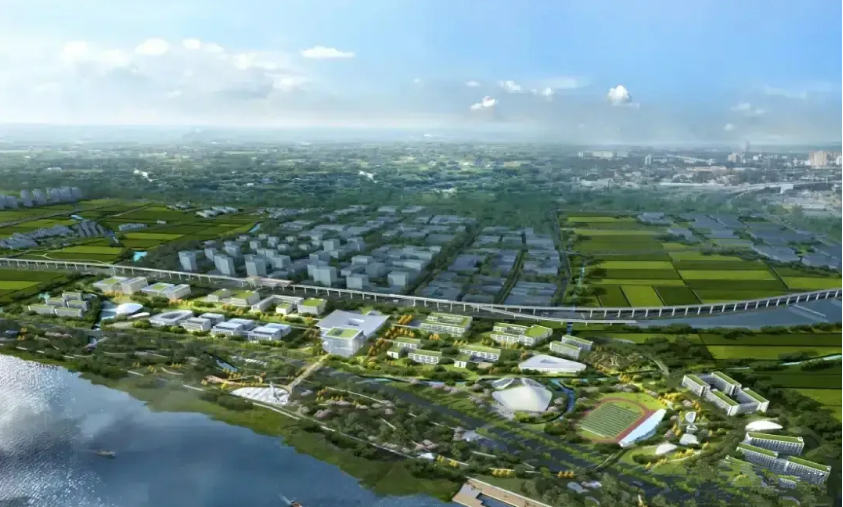 浙江一所大学要更名，结果遭到众人反对，网友：不能输在起跑线上