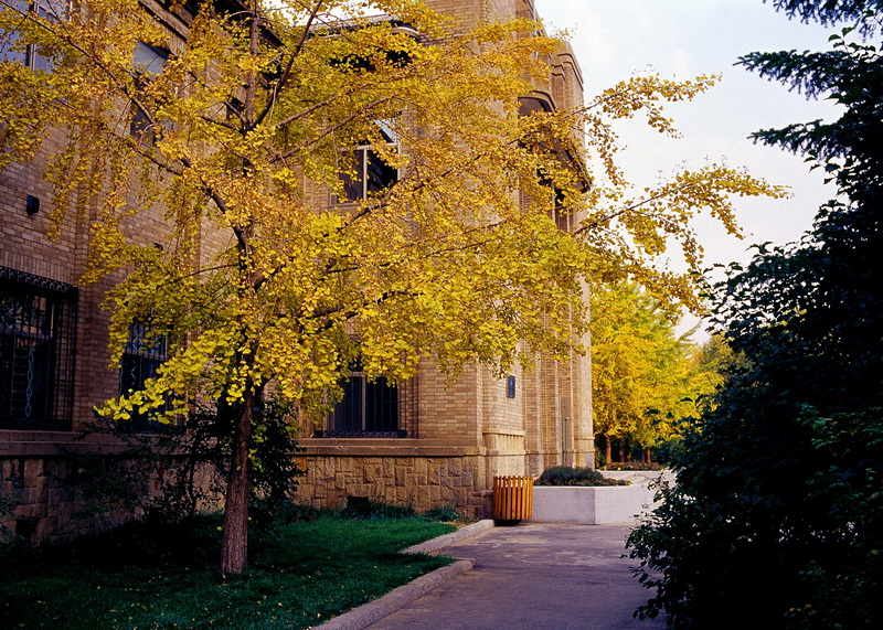 解读鲁迅美术学院2022年本科招生办法，释放出哪些重要信息？