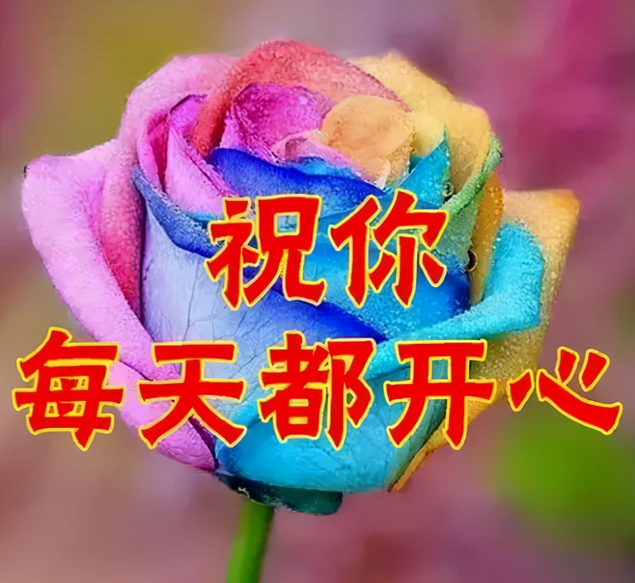 女神节｜最美的祝福送给你，全天下的女神们，祝你们节日快乐