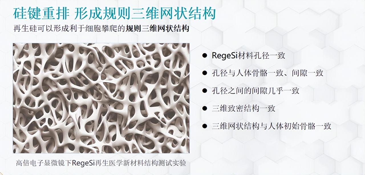 骄傲！医学材料突破封锁，领先10年！再生医学RegeSi再生硅，牛
