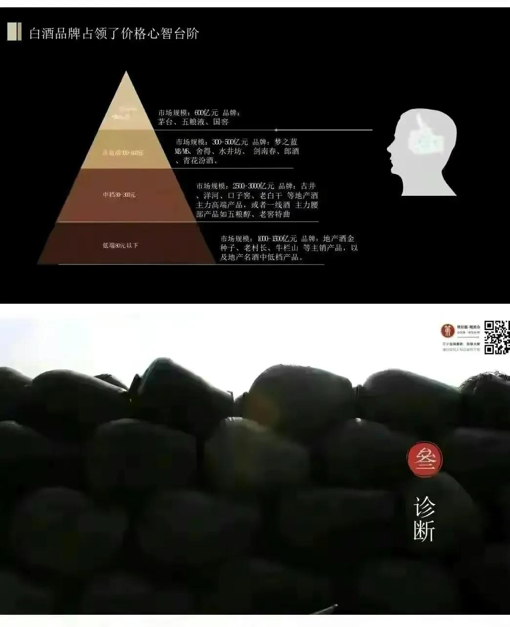 价值1000万的舍得酒业品牌战略规划策划方案（全案154页）