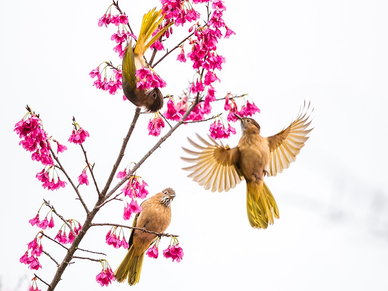 女警、女法官、女庭长、女检察官…这8位“铿锵玫瑰”，全来自这所大学！