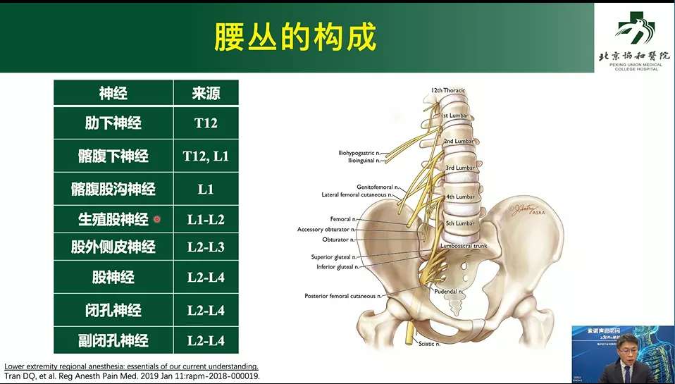 西安市红会医院手术麻醉二科新技术助力髋部骨折患者快速康复