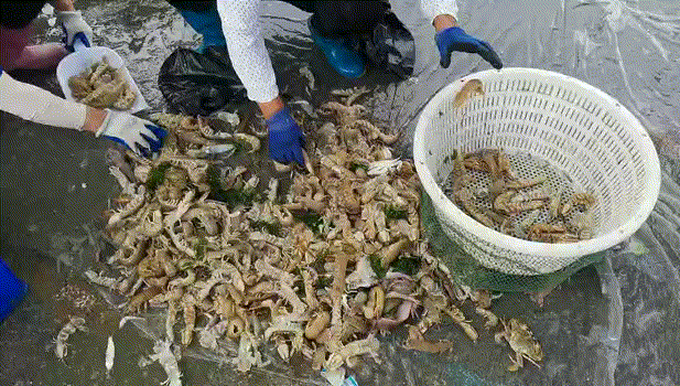比三亚人少，比青岛安逸！这座宝藏海滨小城，暗藏着最美的海