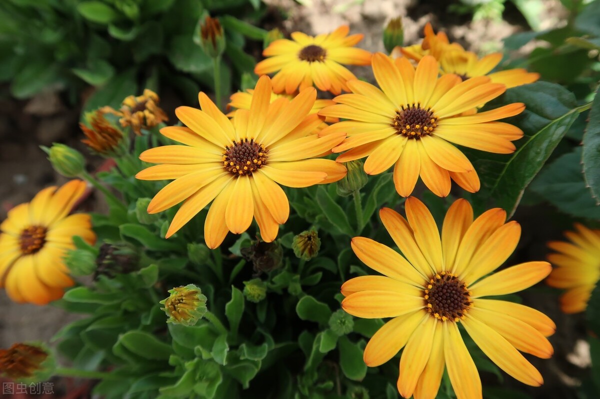 期末来临，班主任你别上火，评语这样写更合适