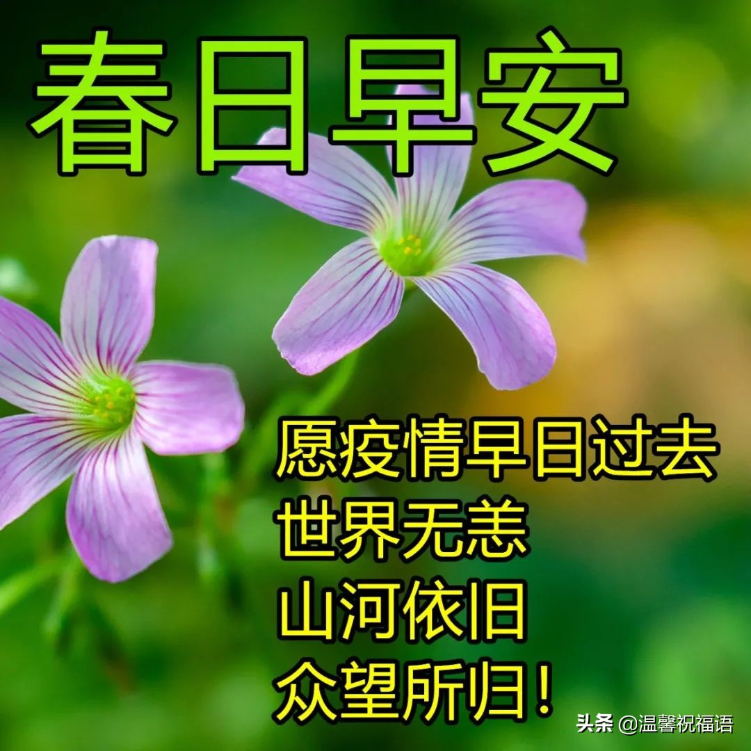 疫情期间祝福暖心的图片 免打字精致走心的春天早安图片