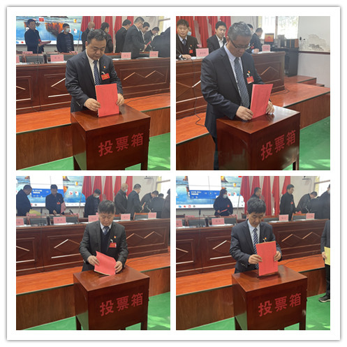 青华镇召开第十五届人民代表大会第一次会议