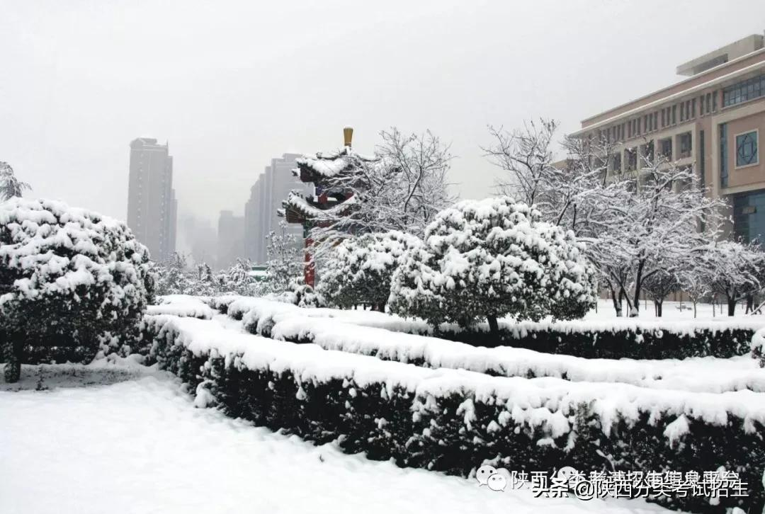 院校风采 || 走进“省级就业示范”—陕西工商职业学院