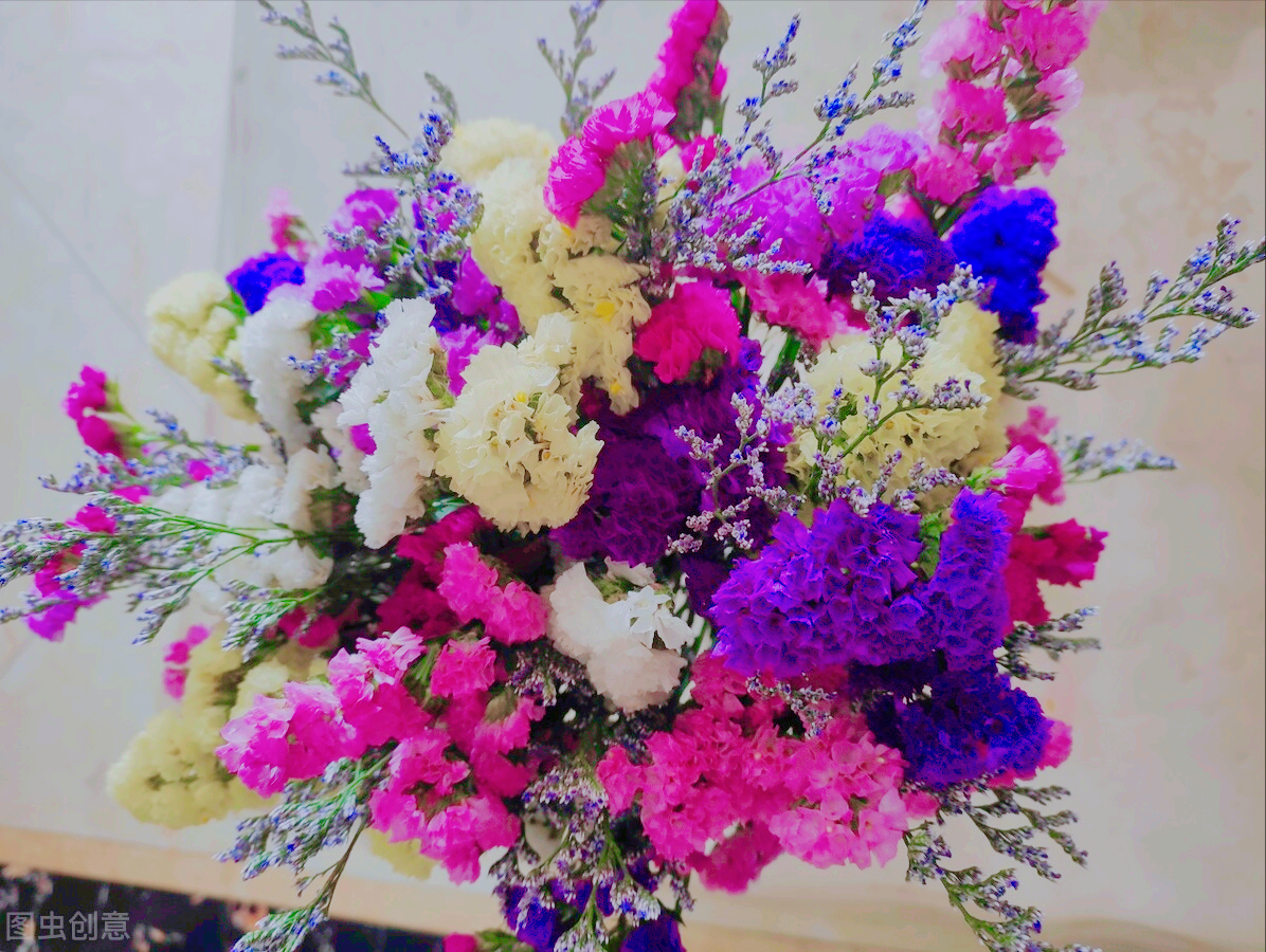 紫梦初醒：一花一世界，唯美绽放刹那芳华