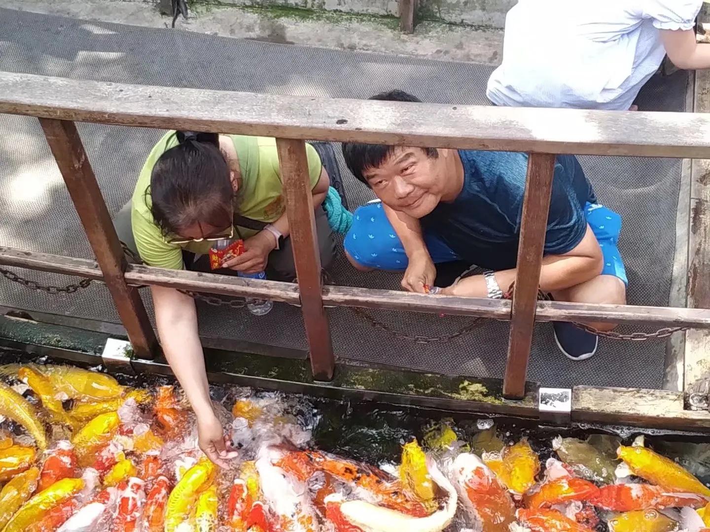 走进鱼米之乡，江苏精华景区自驾游，吃住行一目了然