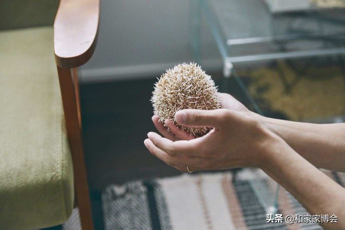 新婚夫妇的50㎡出租房改造 打造温馨小屋