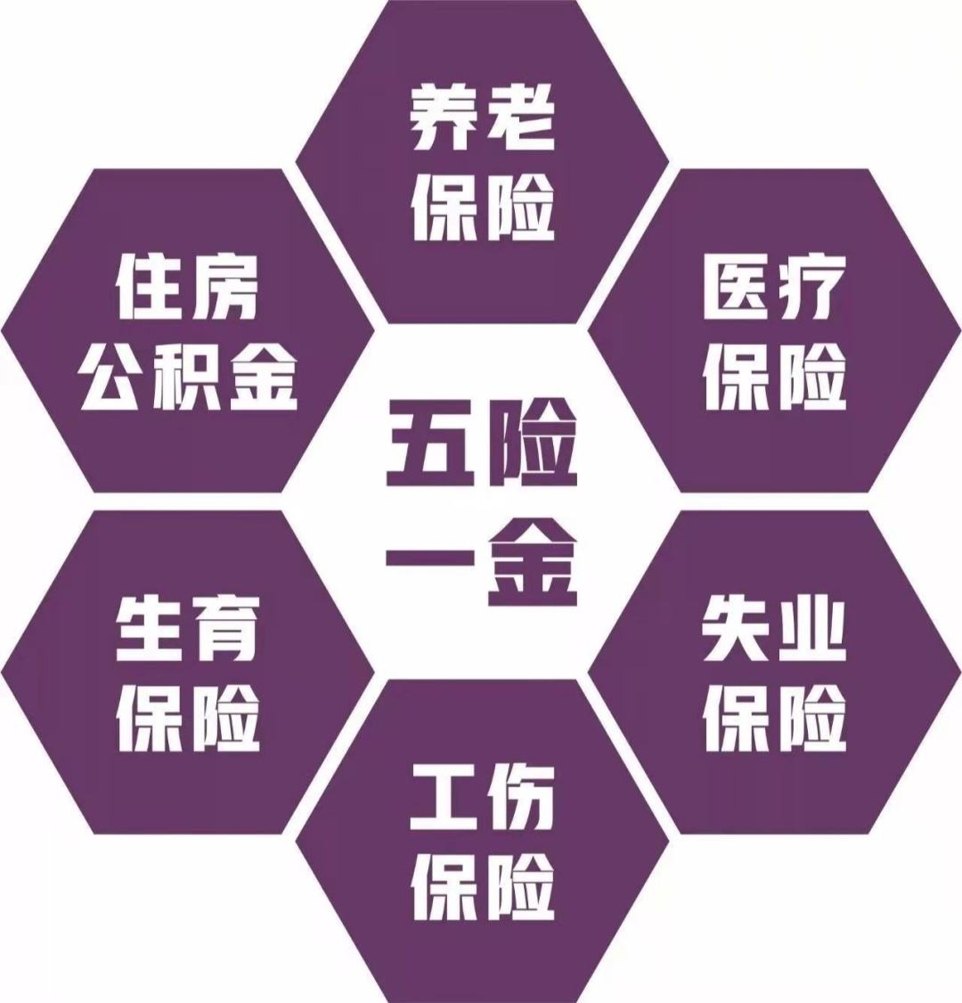 社保、醫保、城居保、新農保、新農合傻傻分不清楚？一張圖整明白
